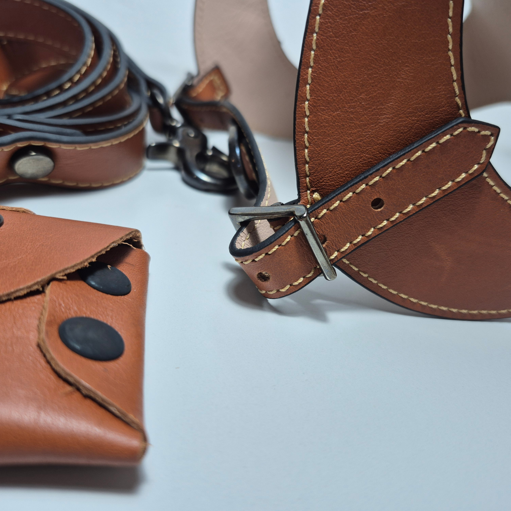 Set Pettorina e Guinzaglio in Pelle con Porta Sacchetti